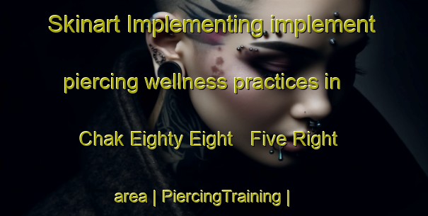 Skinart Implementing implement piercing wellness practices in Chak Eighty Eight   Five Right area | PiercingTraining | PiercingClasses | SkinartTraining-Pakistan